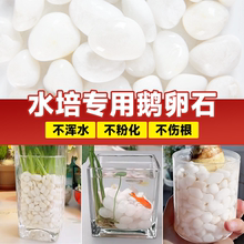 水培石子颗粒白色天然鹅卵石雨花白石子溪流石头造景水生植物固定