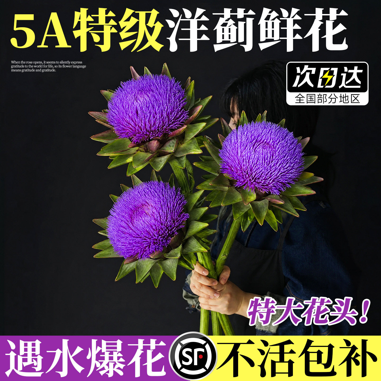 洋蓟鲜花新鲜朝鲜蓟法国百合鲜切花可做干花花期超长进口花材鲜切