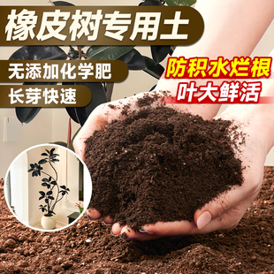 橡皮树专用土营养土种植物养花通用型有机花土家用盆栽泥土肥料土