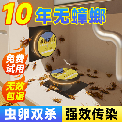 蟑螂药全窝端杀蟑神器高效灭杀下水道卫生间除虫蟑胶饵剂虫卵双杀