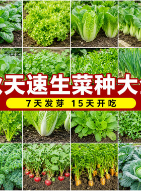 【秋播蔬菜种大全】包成活至发芽
