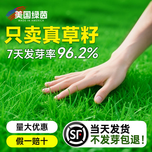 【美国绿茵™】100%正品包对版