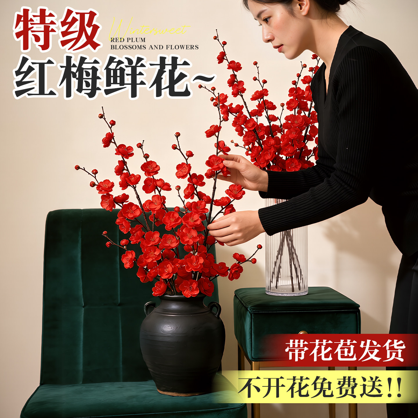 【带花苞发货】红梅鲜花遇水成活