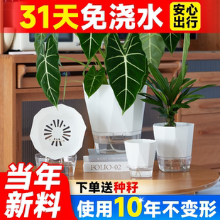 懒人花盆自动吸水盆轻奢高级感家用兰花绿萝树脂塑料情绪稳定花盆