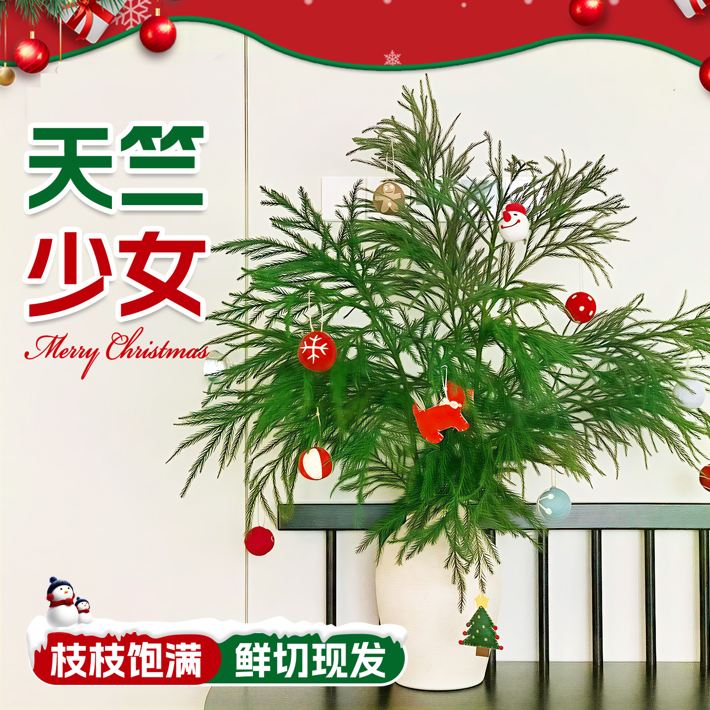 5A特级天竺少女鲜切圣诞花束