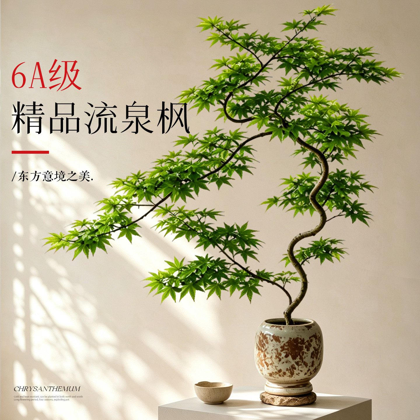 流泉枫盆栽绿植室内客厅盆景茶桌办公室四季好养桌面植物中式造型