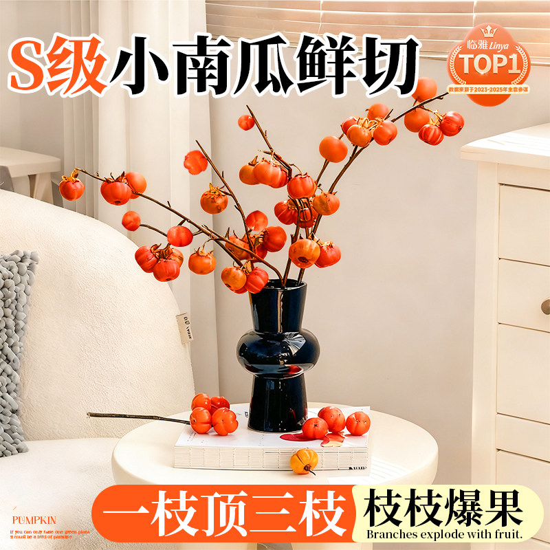 小南瓜客厅鲜切花基地直发带果发