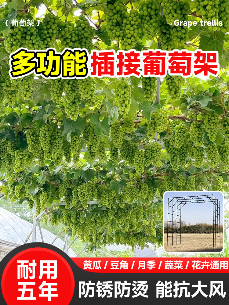 葡萄架爬藤架月季蔷薇花架植物花卉支架庭院户外包塑钢管铁艺架子