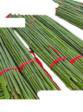 2米长竹竿菜园搭架爬藤架种菜用