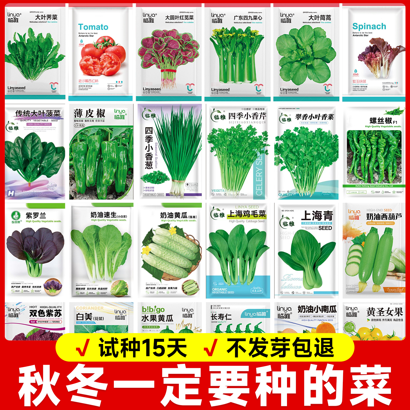 【秋播蔬菜种大全】包成活至发芽