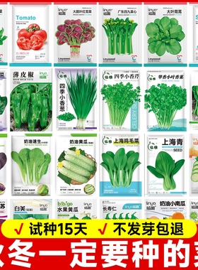各种秋播蔬菜种子大全优质高端菠菜白生菜空心菜蔬菜种籽耐寒越冬