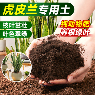 虎皮兰专用营养土养花通用土家用泥土壤栽种金边虎尾兰土有机肥料
