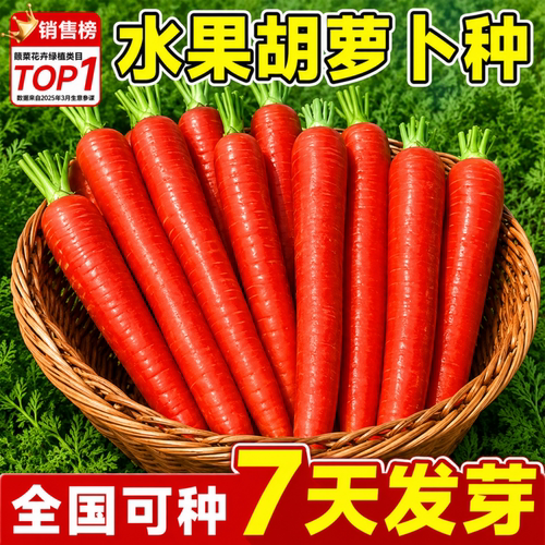 【水果胡萝卜】包成活！包结果！