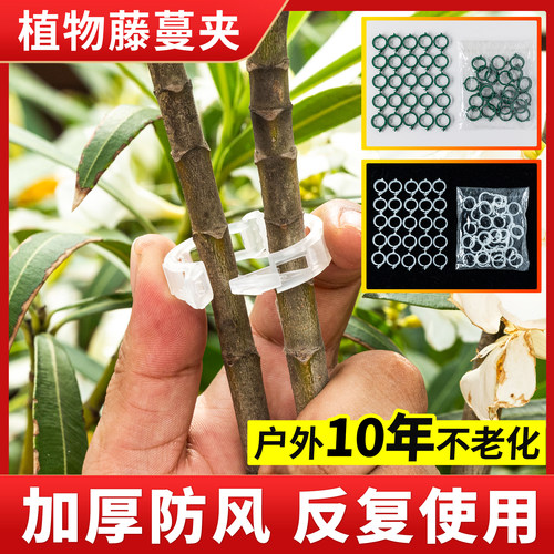 瓜果植物夹西红柿植物固定夹