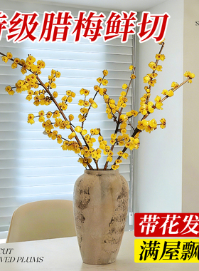 腊梅花鲜花干枝鲜切花家用插花水培绿植物客厅花卉年宵花老桩花束