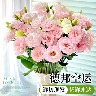 洋桔梗鲜花鲜切花卉混色鲜花云南基地直发家用插花顺丰次日达花材