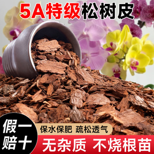 松树皮发酵腐熟松鳞兰花专用土天然植料君子石斛蝴蝶兰种花营养土