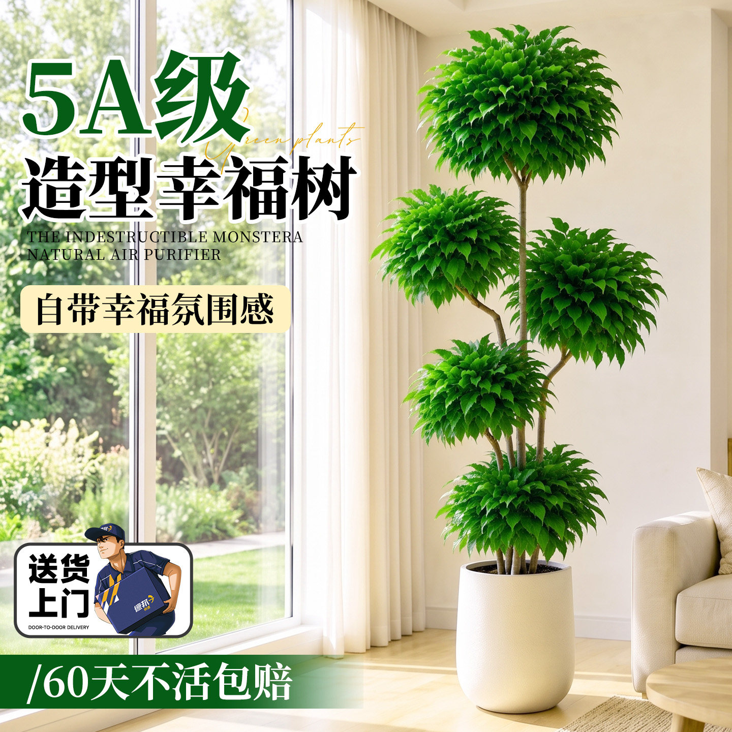 幸福树客厅大盆栽绿植室内办公室大型落地高级平安树四季常青好养