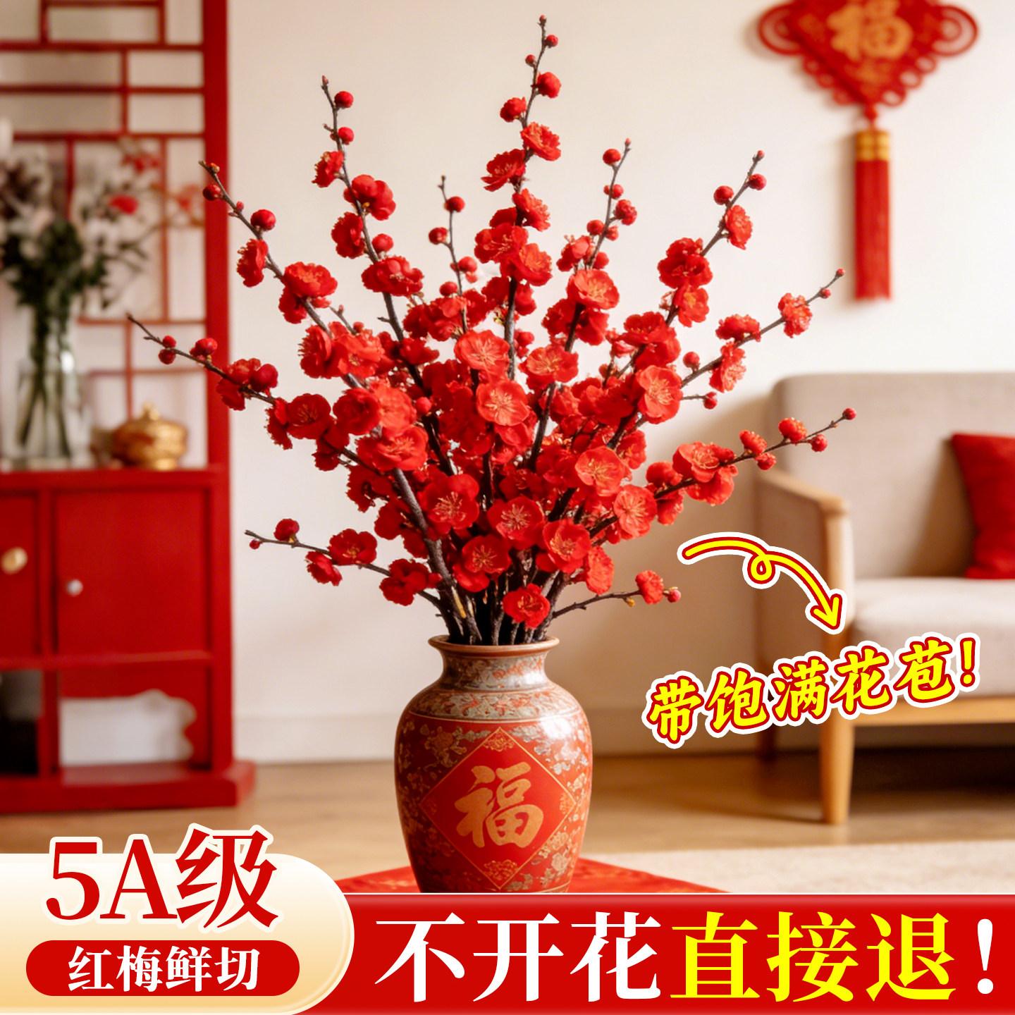 5A级红梅满花苞过年不爆花免费退