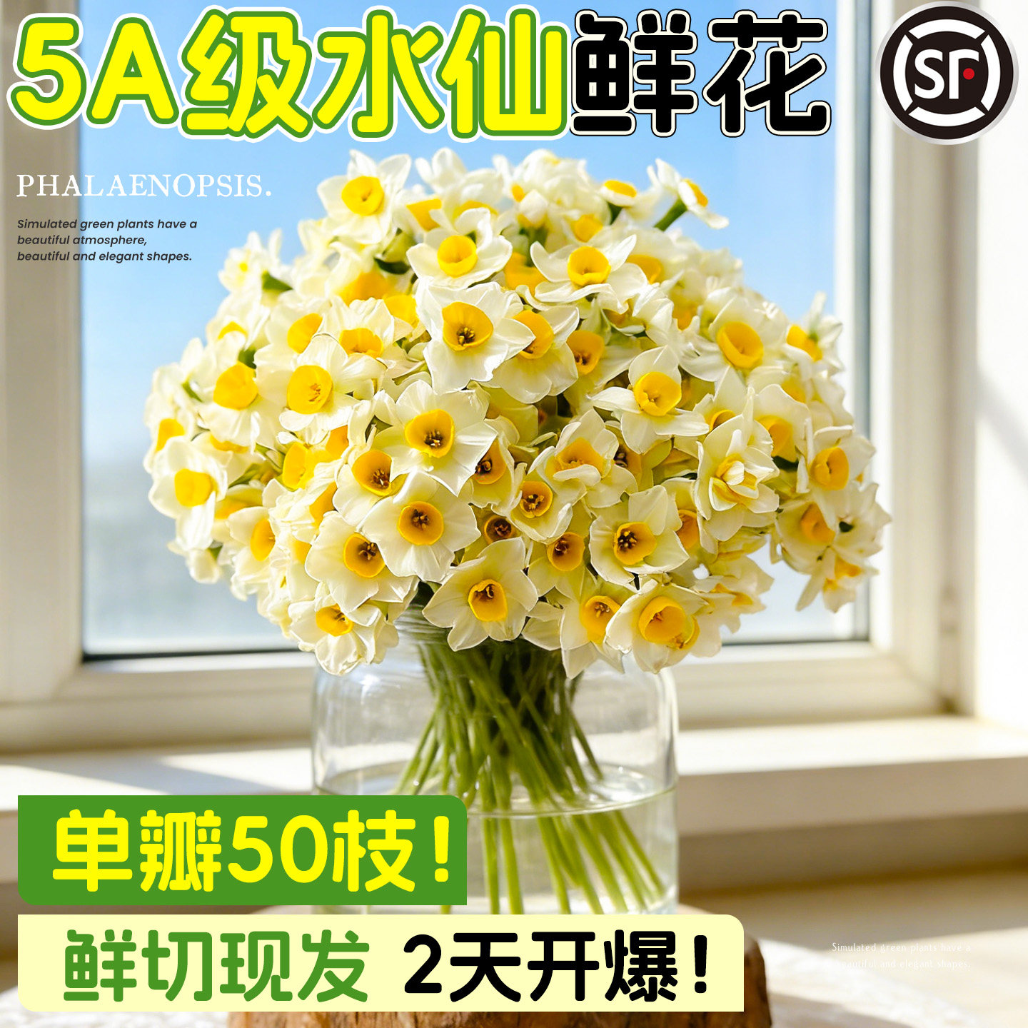 漳州水仙花鲜切花花枝种球带花苞冬季水培植物室内插花水养年宵花,鲜花速递/花卉仿真/绿植园艺,花材,淘宝优惠券,粉丝福利购,淘宝优惠卷