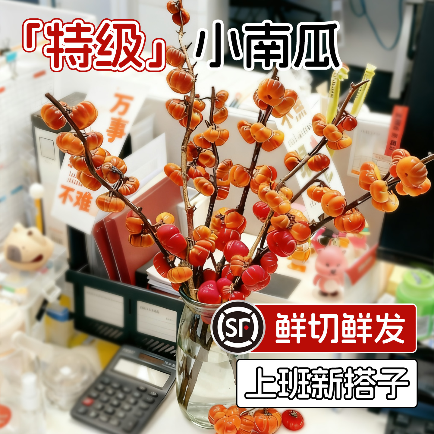 【特级小南瓜鲜切】上班新搭子