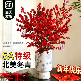 北美冬青红果真花鲜切花年宵花客厅旺宅水培鲜花切枝盆栽鲜枝银柳