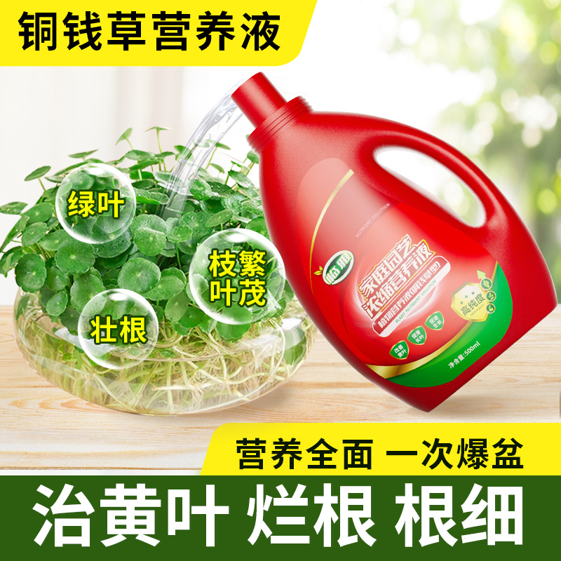铜钱草营养液水培植物肥料专用肥家用养花盆栽通用土培花肥钱币草