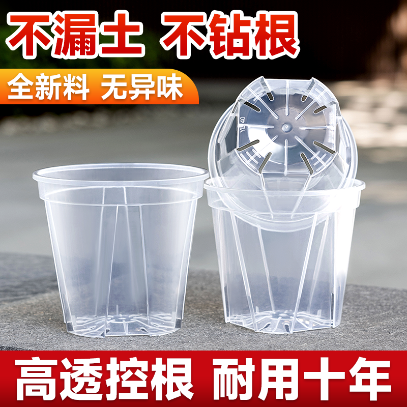不漏土不漏植料蝴蝶兰专用控根盆