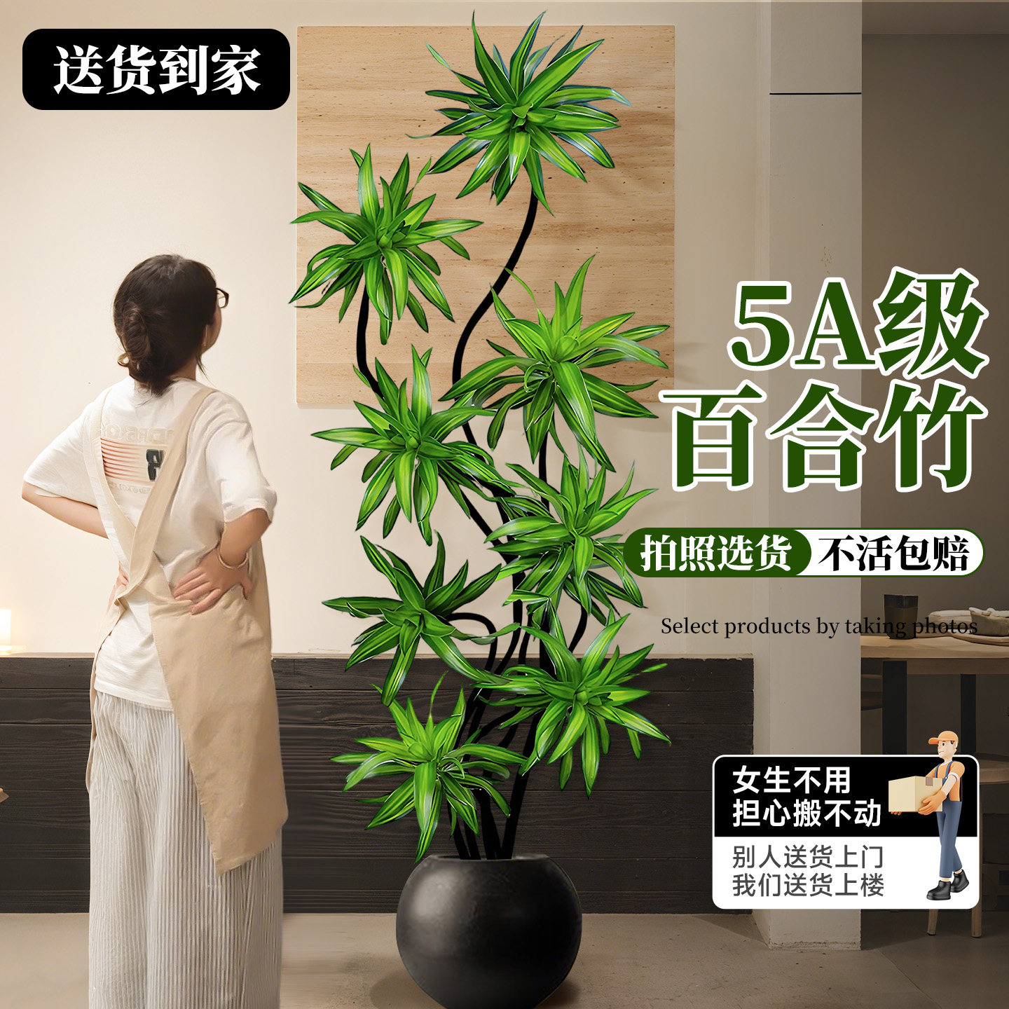 百合竹客厅绿植盆栽精品高端老桩高级感金边大型植物落地真花好养,鲜花速递/花卉仿真/绿植园艺,绿植,淘宝优惠券,粉丝福利购,淘宝优惠卷