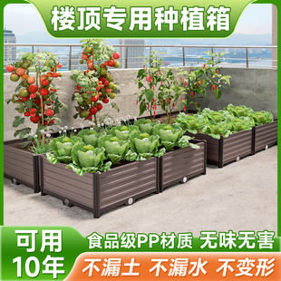 楼顶种菜专用箱花箱阳台蔬菜种植箱神器家用特大长方形塑料花盆槽