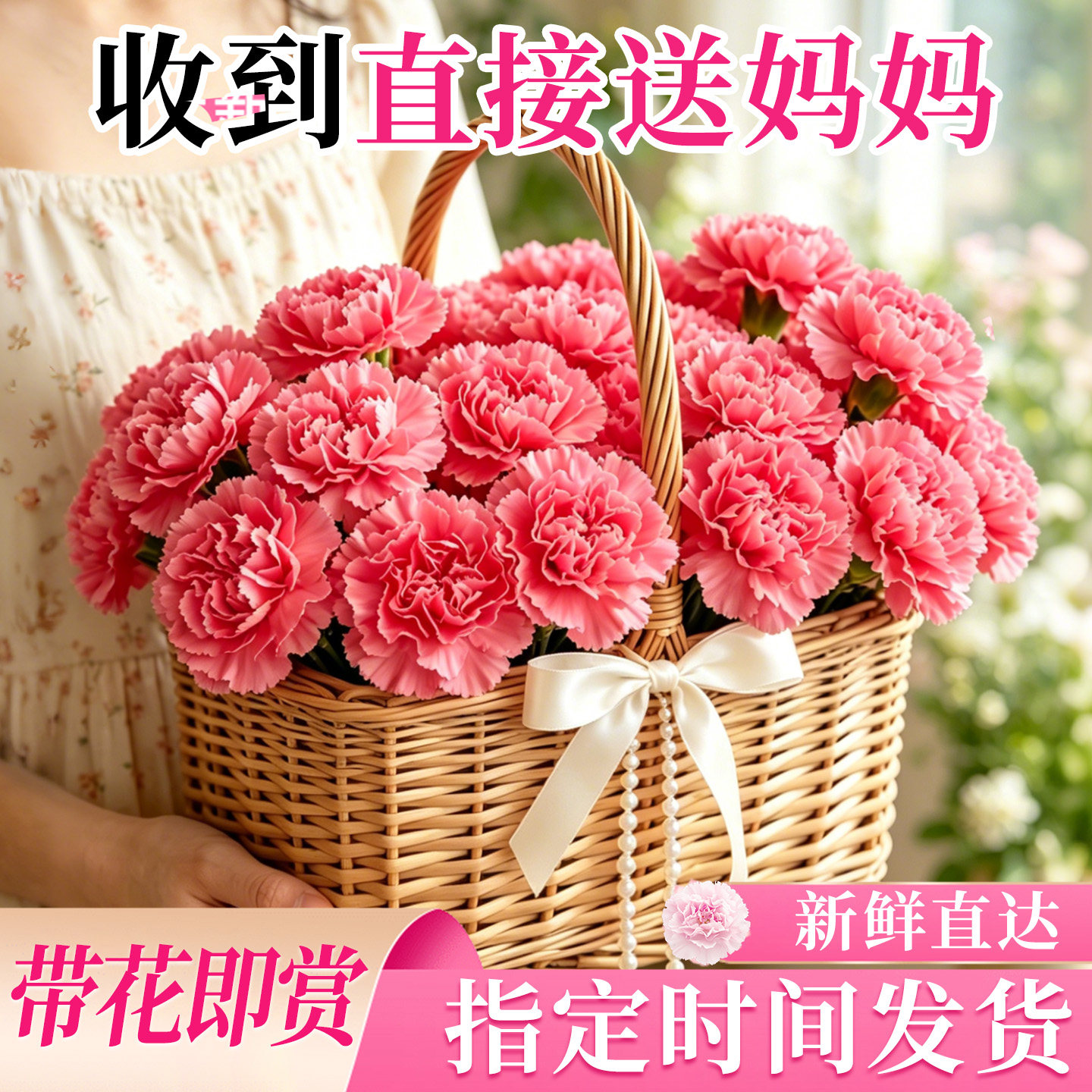 母亲节康乃馨盆栽手提花篮礼物四季室内外好养活绿植物开花鲜花卉