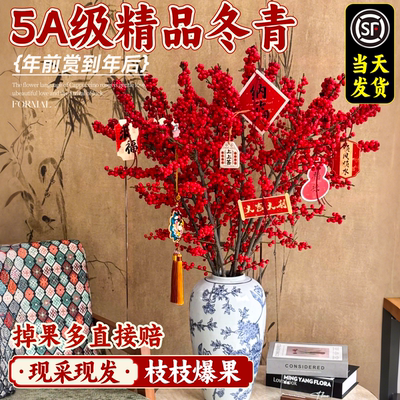 北美冬青红果真花鲜切花家用插花鲜花云南基地直发年宵花卉水养