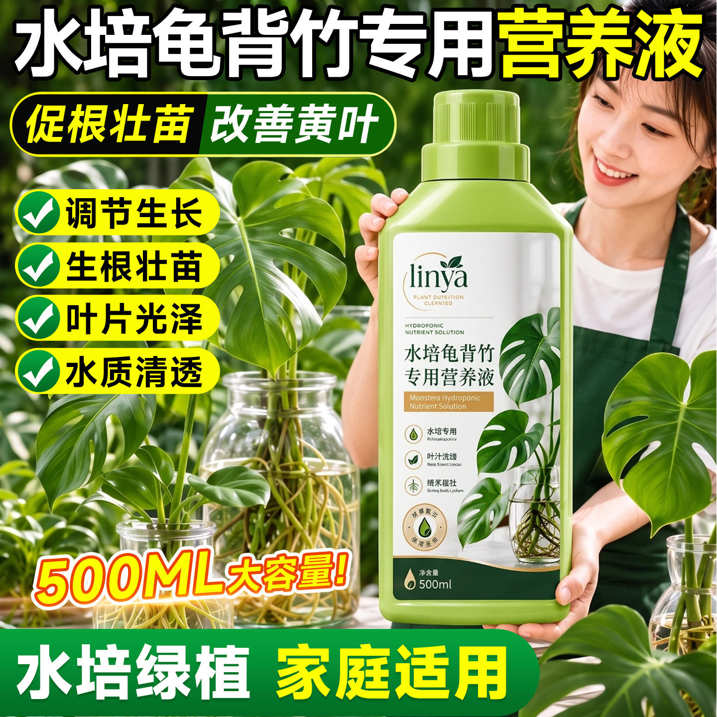 水培龟背竹专用营养液改善黄叶图片