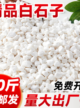 白石子南京雨花石天然原石鱼缸石头子铺底白色鹅卵石颗粒铺路造景