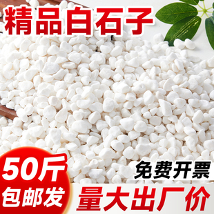 白石子南京雨花石天然原石鱼缸石头子铺底白色鹅卵石颗粒铺路造景