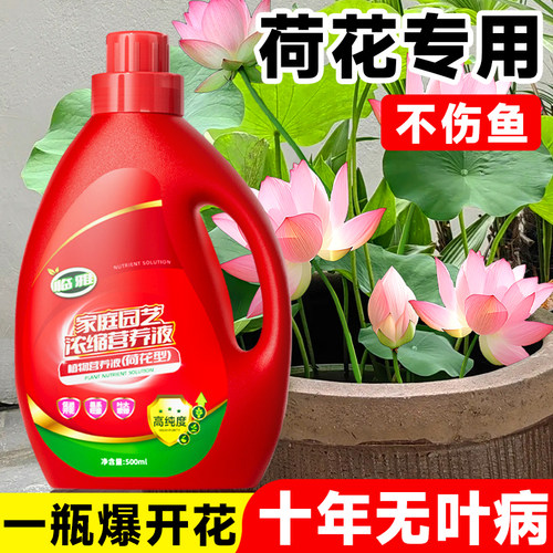 荷花肥料碗莲专用营养液睡莲花水培植物促进开花专用肥花卉水溶肥