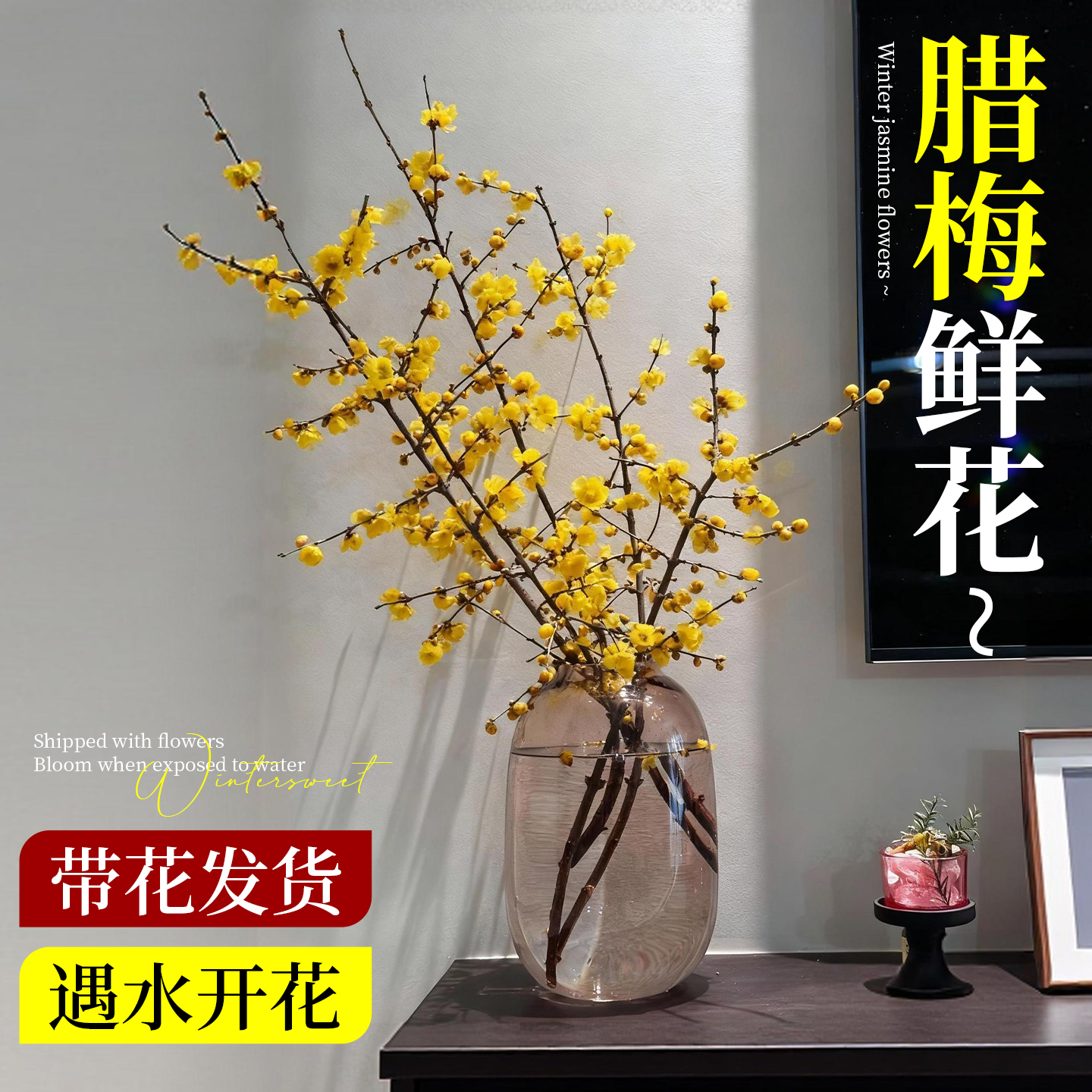 腊梅花鲜花家用插花客厅鲜切花卉干枝花束真花花材水培绿植物摆设