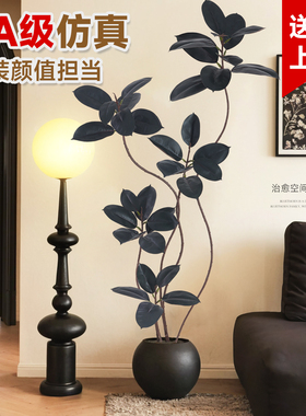 彷真绿色植物黑金刚橡皮树室内客厅大型盆栽高端轻奢彷生假树植物