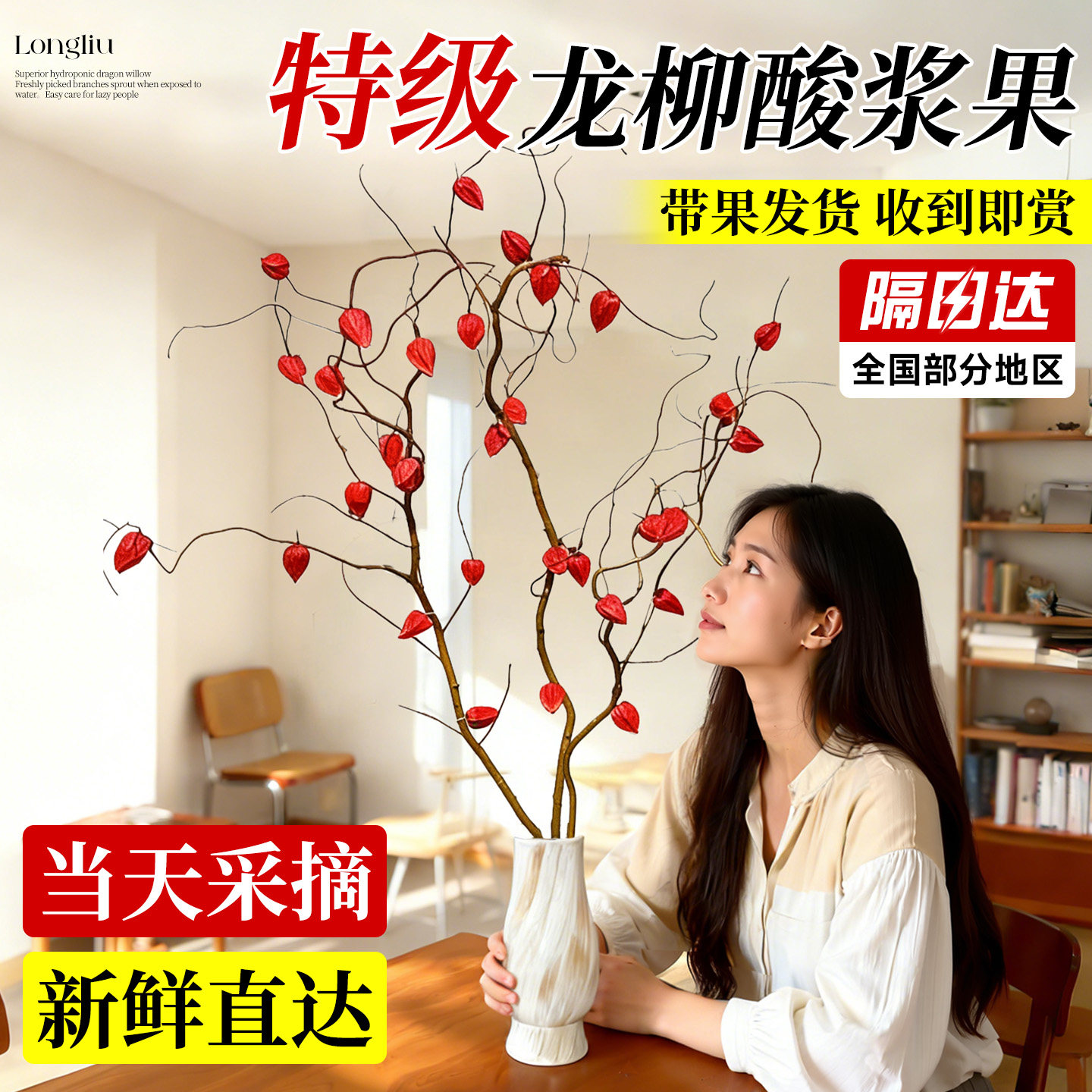 金龙柳酸浆果鲜切花枝云南直发四季高级感侘寂风室内水培植物好养,鲜花速递/花卉仿真/绿植园艺,花材,淘宝优惠券,粉丝福利购,淘宝优惠卷