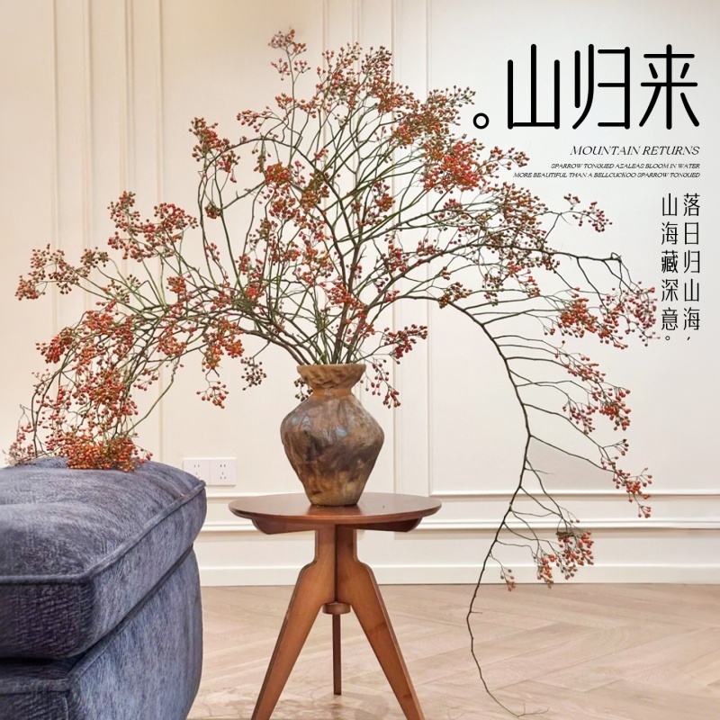 山归来蔷薇果水培植物鲜切插花