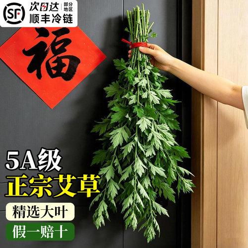 【5A级大叶艾】端午节艾草门挂