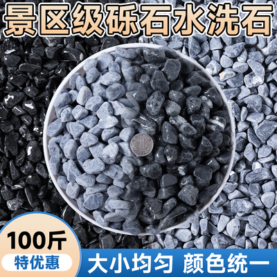 【送货上门】景区级同款精品砾石