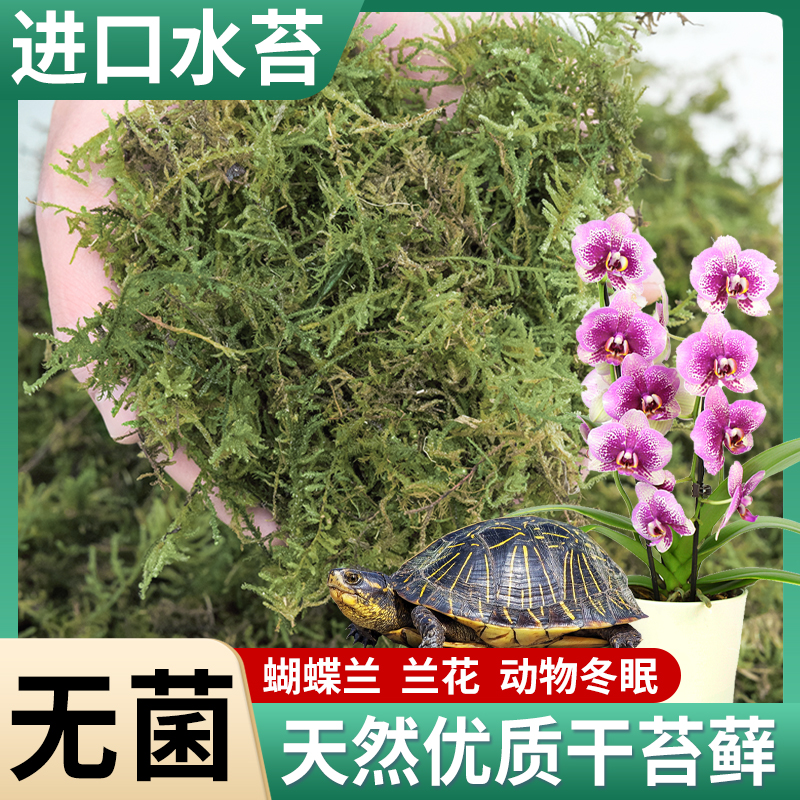 蝴蝶兰专用营养土动物用苔藓水苔