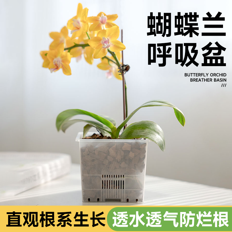 【精品】蝴蝶兰花盆透水透气