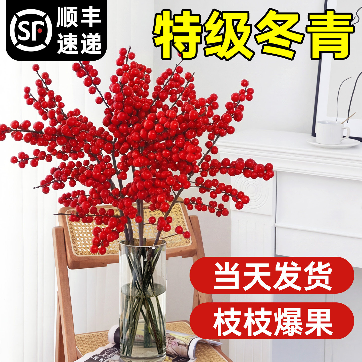 北美冬青红果真花水培鲜花新年盆栽室内鲜切银柳鲜枝年宵花卉水养