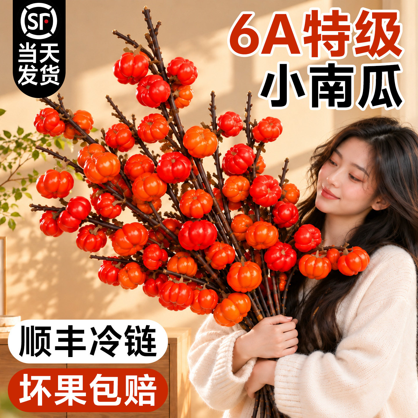 小南瓜鲜花鲜切枝新鲜摆件云南鲜花基地直发顺丰次日达水培插花卉