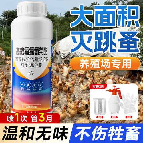 【100%灭杀率】大面积速杀灭跳蚤