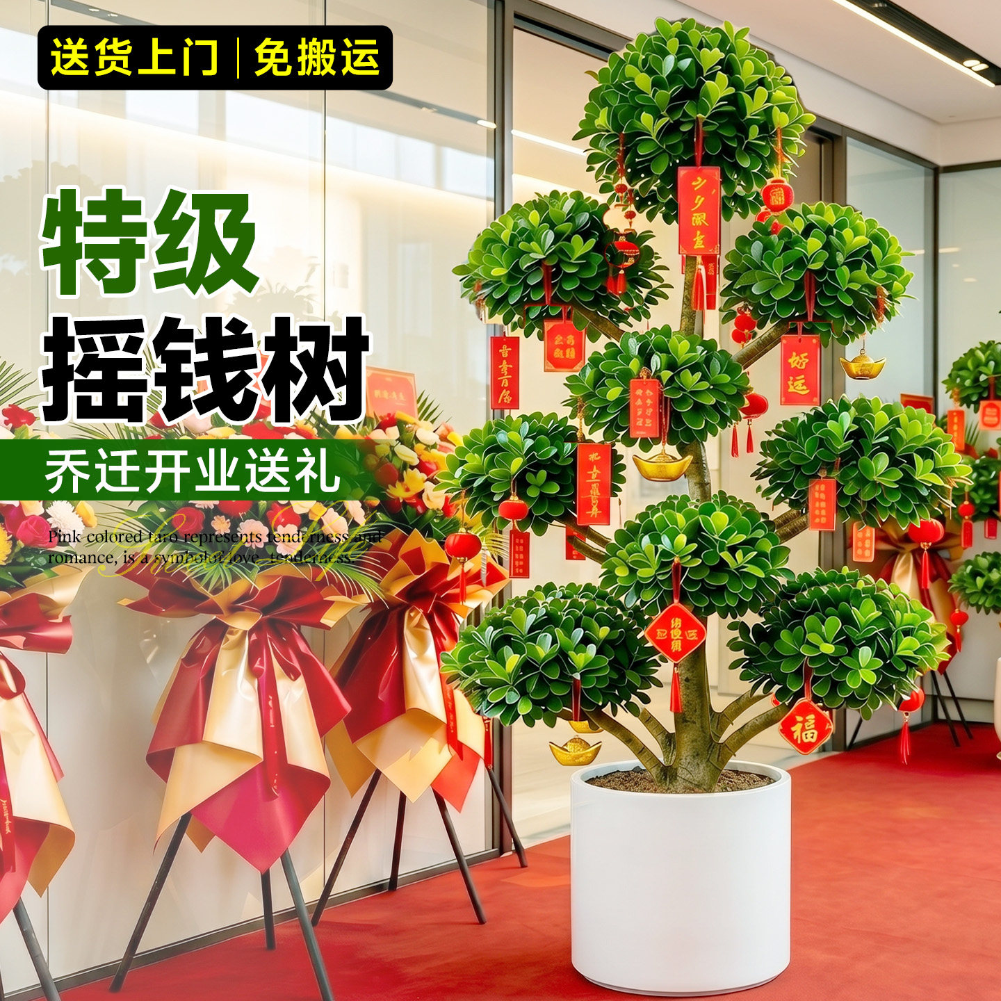 金钱榕大盆栽室内大型盆景招财金钱树客厅办公室摇钱树发财树绿植