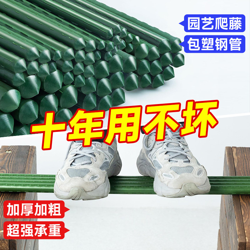 植物支架爬藤架葡萄黄瓜番茄爬藤杆包塑钢管支柱园艺花棚架支撑杆