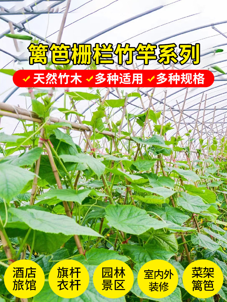 精选100根竹竿菜园搭架防腐小细竹杆棍旗杆黄瓜豆角爬藤菜架